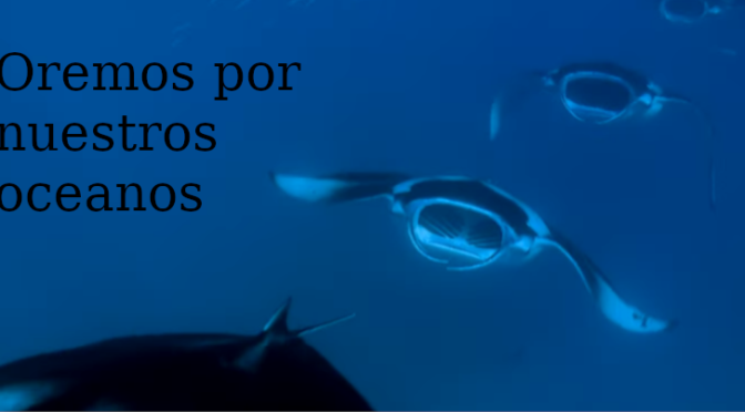 Vídeo del Papa Francisco para septiembre. Orar por los oceanos.