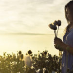 Vídeo del Papa Francisco. Promovamos la paz.