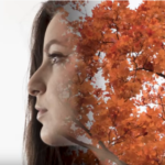 Somos la luz del mundo. Vídeo