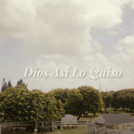 Dios así lo quiso. Vídeo de la semana.