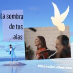 La sombra de tus alas